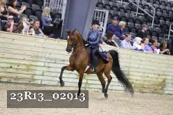 23R13_02913 thumbnail