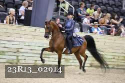 23R13_02914 thumbnail