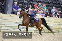 23R13_02915 thumbnail
