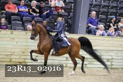 23R13_02916 thumbnail