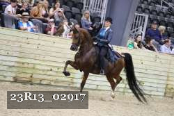 23R13_02917 thumbnail