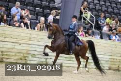 23R13_02918 thumbnail