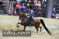 23R13_02920 thumbnail