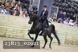 23R13_02921 thumbnail