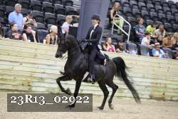 23R13_02922 thumbnail