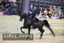 23R13_02923 thumbnail