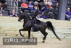 23R13_02924 thumbnail