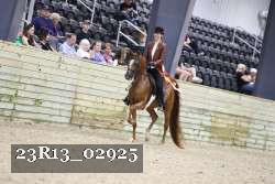 23R13_02925 thumbnail
