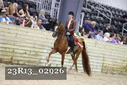 23R13_02926 thumbnail