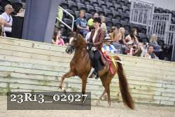 23R13_02927 thumbnail