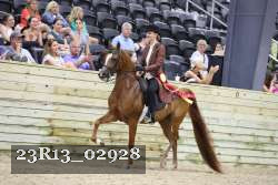 23R13_02928 thumbnail