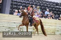 23R13_02929 thumbnail
