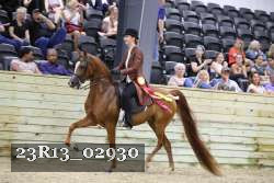 23R13_02930 thumbnail