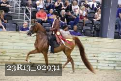 23R13_02931 thumbnail
