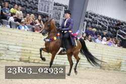23R13_02932 thumbnail