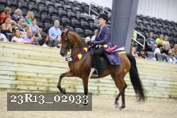 23R13_02933 thumbnail