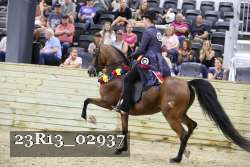 23R13_02937 thumbnail
