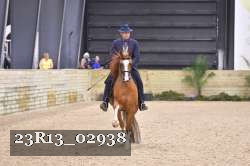 23R13_02938 thumbnail