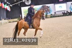 23R13_02939 thumbnail