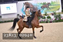 23R13_02940 thumbnail