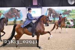 23R13_02941 thumbnail