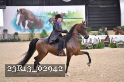 23R13_02942 thumbnail