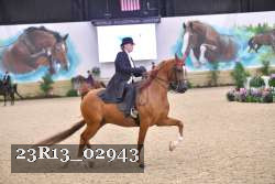 23R13_02943 thumbnail