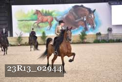 23R13_02944 thumbnail