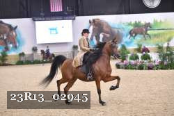 23R13_02945 thumbnail