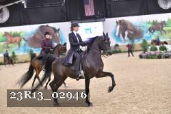 23R13_02946 thumbnail