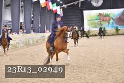 23R13_02949 thumbnail