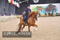 23R13_02950 thumbnail
