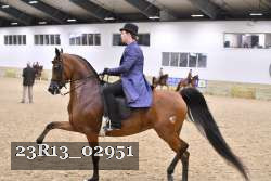 23R13_02951 thumbnail
