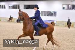 23R13_02952 thumbnail
