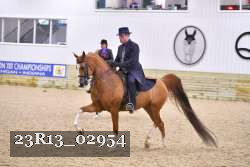 23R13_02954 thumbnail