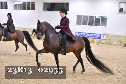 23R13_02955 thumbnail