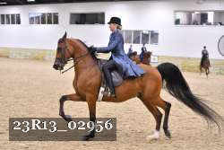 23R13_02956 thumbnail