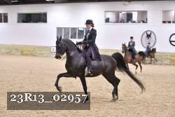 23R13_02957 thumbnail