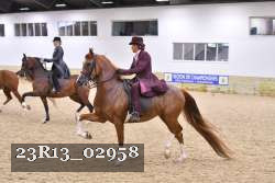 23R13_02958 thumbnail