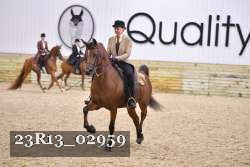 23R13_02959 thumbnail