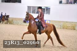 23R13_02960 thumbnail