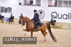 23R13_02961 thumbnail