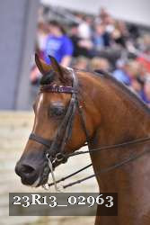 23R13_02963 thumbnail