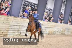 23R13_02965 thumbnail