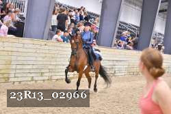 23R13_02966 thumbnail