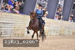 23R13_02967 thumbnail