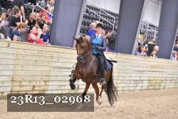 23R13_02968 thumbnail