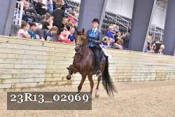 23R13_02969 thumbnail
