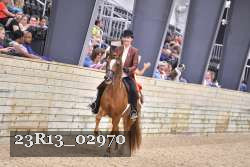 23R13_02970 thumbnail