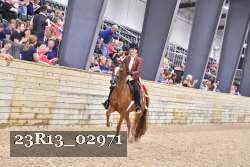 23R13_02971 thumbnail